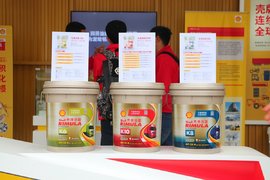 ����ר������ �������ھ�Ȼ��10����