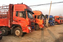 �����Ź��ĵĿ��ѿ��Է����� �������겻�ᱻ��̭��