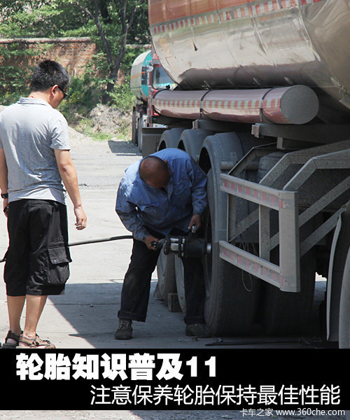 ��̥֪ʶ�ռ�11��������̥����������