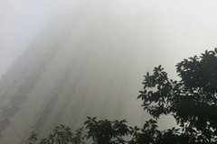 ��������������ٹر� ����ֵ��г���