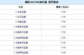 威旺205及加长版上市