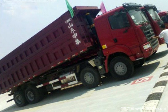 ׳ ϵ8x4ж3.1