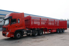 �������ֳ� ����13�׶쾱��������8.3��