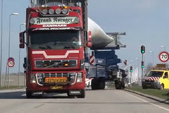 ��·��Ӧ��ǿ ������ķ�Ҷ�����ҳ�