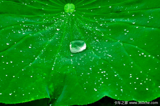 ��̸����(1)����ˮ���������ʵ�ֵģ�