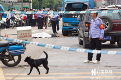 ����ɲ��ʧ�� ˾����������ײ��2��3��