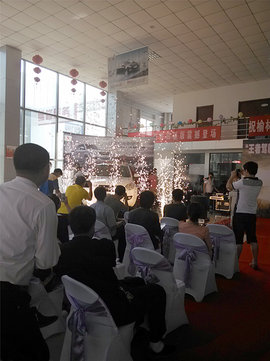 榆林江铃域虎皮卡上市