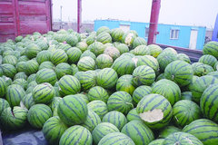 ������ê����4��ʩ�ȷ� ˾���ܽ�������