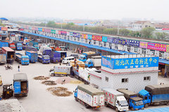 ��������������˦������ ������ս����