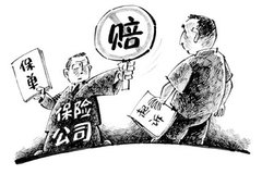 �ҿ�ͬһ��˾��������ײ ���չ�˾����