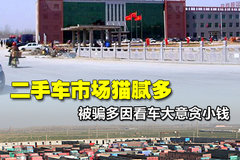 ��̰СǮ����ƭ ���ֳ��г�è����¶