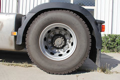 ��������Ь�� �����ֿ�����̥��ʶ���