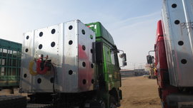 ��������&nbsp;��������F3000&nbsp;CNGǣ����6��