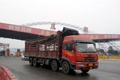 ������������������ �������������Ǽ�