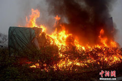 ��ʧ���� �Ĵ�һ�ҳ����ȼ����Ϊ��̥