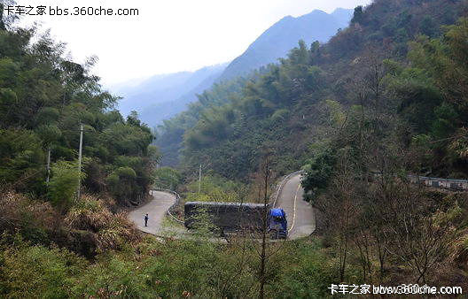 �������'ħ�����'&nbsp;���ſ�8��������