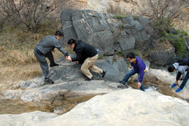 ���ʸ߷�&nbsp;�����ؿ�ҵ��Ӣһ���Ȼ