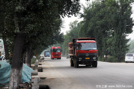 ��֪'����'Ҳ�ᰤ��&nbsp;�����Ϊ�෢Ⱥ��