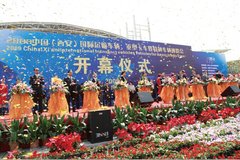 10�¾��� �������ó��������ںϷ��ٿ�