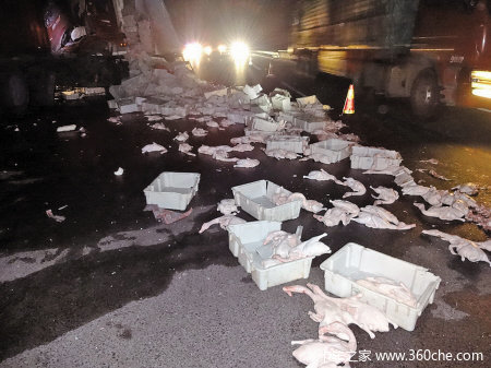 ���˯�»���׷β&nbsp;����ֻ��Ѽ���ϸ���