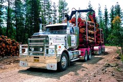 �ִ�����Ũ ���ļ۸���߼����ײ�����