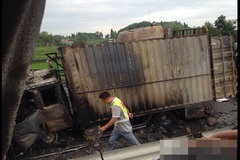 �������ٺ��϶��¹���������������43��