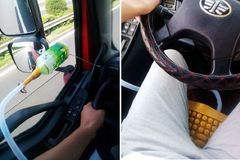 ���ɽ������������Ų��õ����ҵ��ɲ���