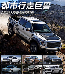 6款百万级公路皮卡车