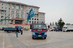 �³����ﳤ�� ��ɫ�й��л��ʽ����