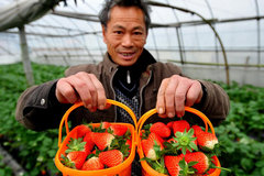 48Сʱ��䵽��� �Ա�ũ��Ʒ����ֱ��