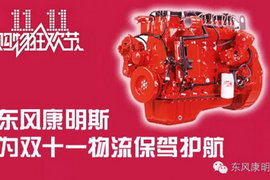 东康护驾"双十一"物流