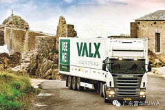 չȫҵ չŷVALX˾
