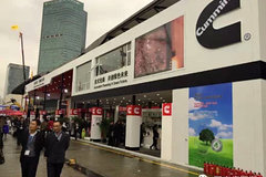 ����չ:����QSM��������������ɫ���Ƽ�