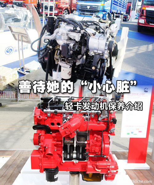 �ƴ�'С����'&nbsp;�Ῠ����������ϸ�����