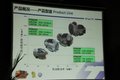 让驾驶更轻松 法士特AT变速箱试驾体验
