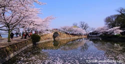 ��������,Ԣ������&nbsp;Ծ�������Լ�Ʒ����