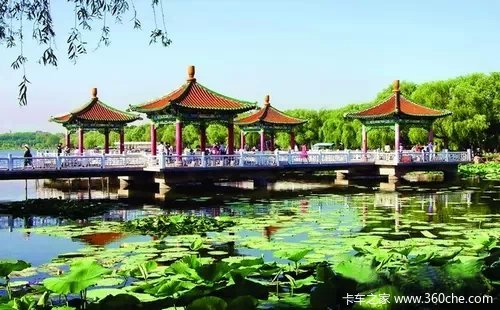 ��������,Ԣ������&nbsp;Ծ�������Լ�Ʒ����