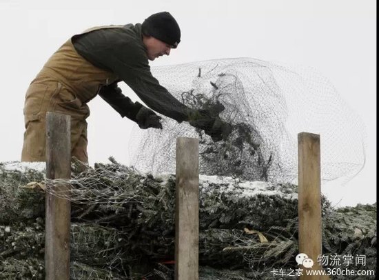 ������!&nbsp;ԭ���ڹ���ʥ���������������