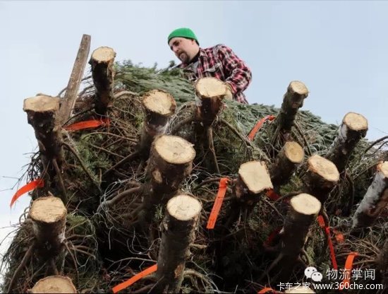 ������!&nbsp;ԭ���ڹ���ʥ���������������