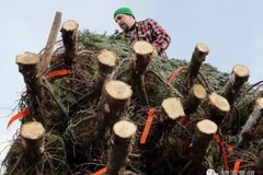 ������! ԭ���ڹ���ʥ���������������