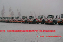 双特中标营口港牵引车