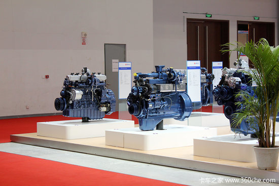 Ъ��Ҳ����������������ͣ�ű�������