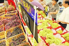 �������ͷ�Χ�� �ֶ�����������������