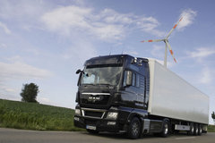 Դͷ���� ���Ų������������桰��ʬ��