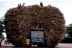 �����е�ս���� һ��ȥ�������޵ĳ���