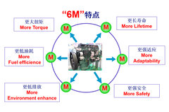 锡柴当家花旦6DM介绍