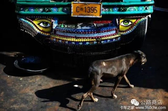 �������ǿ������ͻ�˹̹�Ŀ����ҿ�����