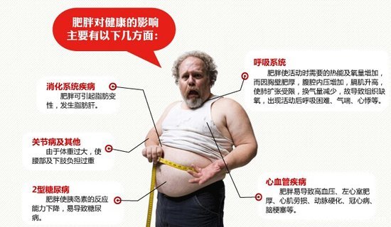 一不小心就胖了 卡车司机健康情况堪忧
