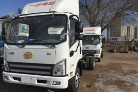 春节至各类新品齐上阵