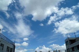 穹顶之下的绿色动力